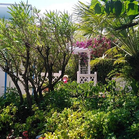 Hotel Parco Delle Rose Silvi Marina Esterno foto