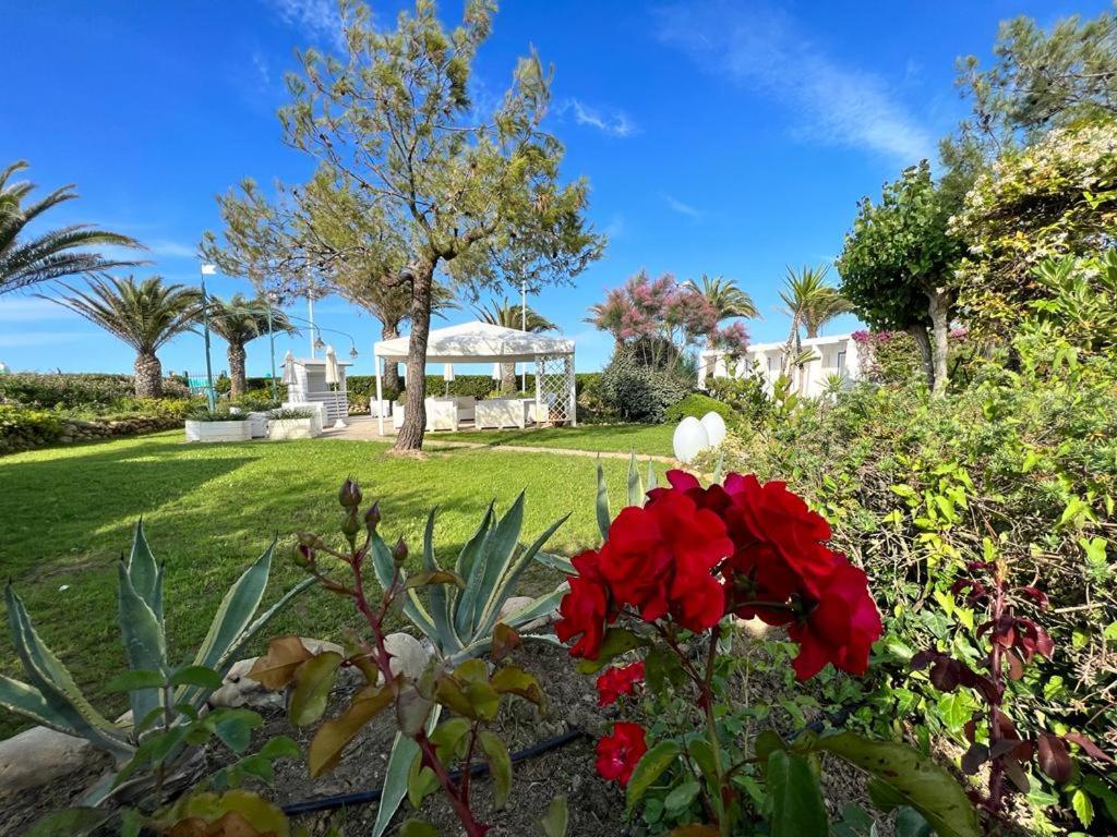 Hotel Parco Delle Rose Silvi Marina Esterno foto