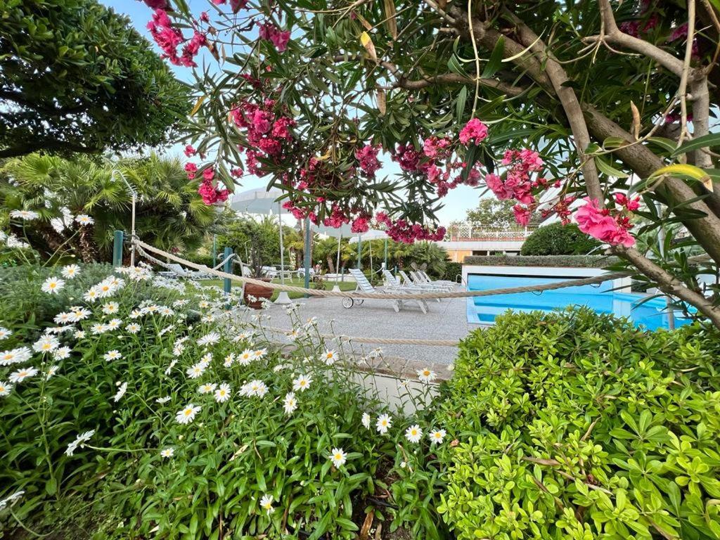 Hotel Parco Delle Rose Silvi Marina Esterno foto