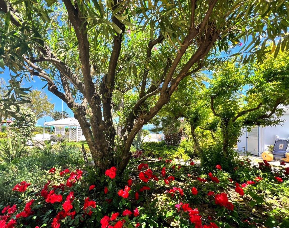 Hotel Parco Delle Rose Silvi Marina Esterno foto