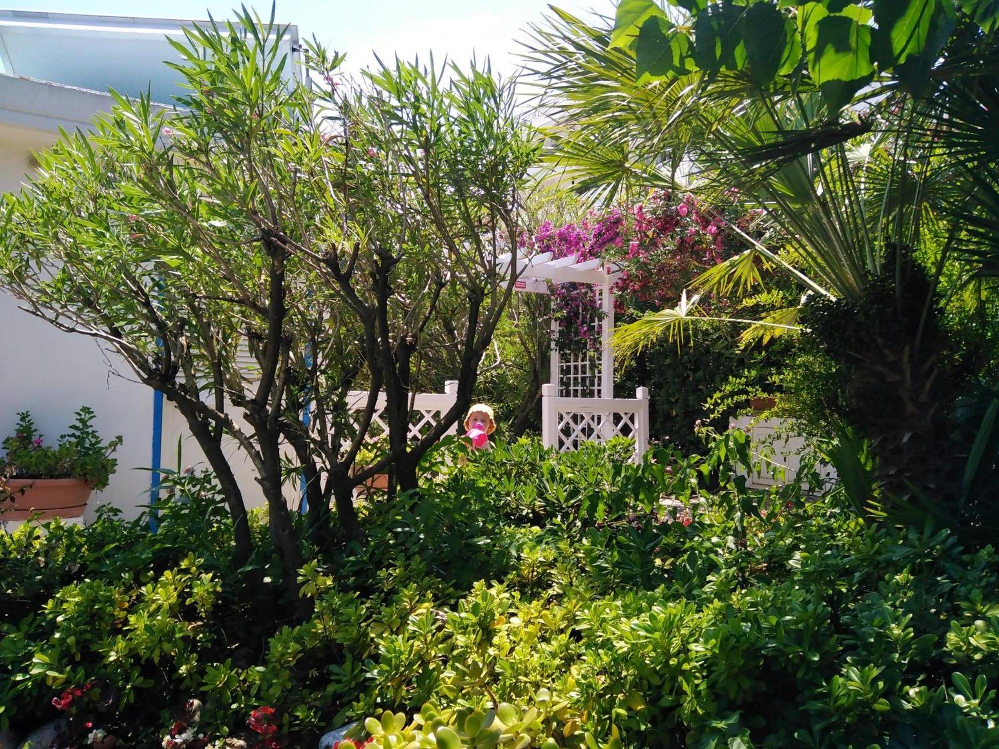Hotel Parco Delle Rose Silvi Marina Esterno foto